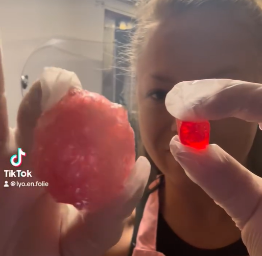 Un bonbon lyophilisé gonflé à côté du même bonbon avant la lyophilisation